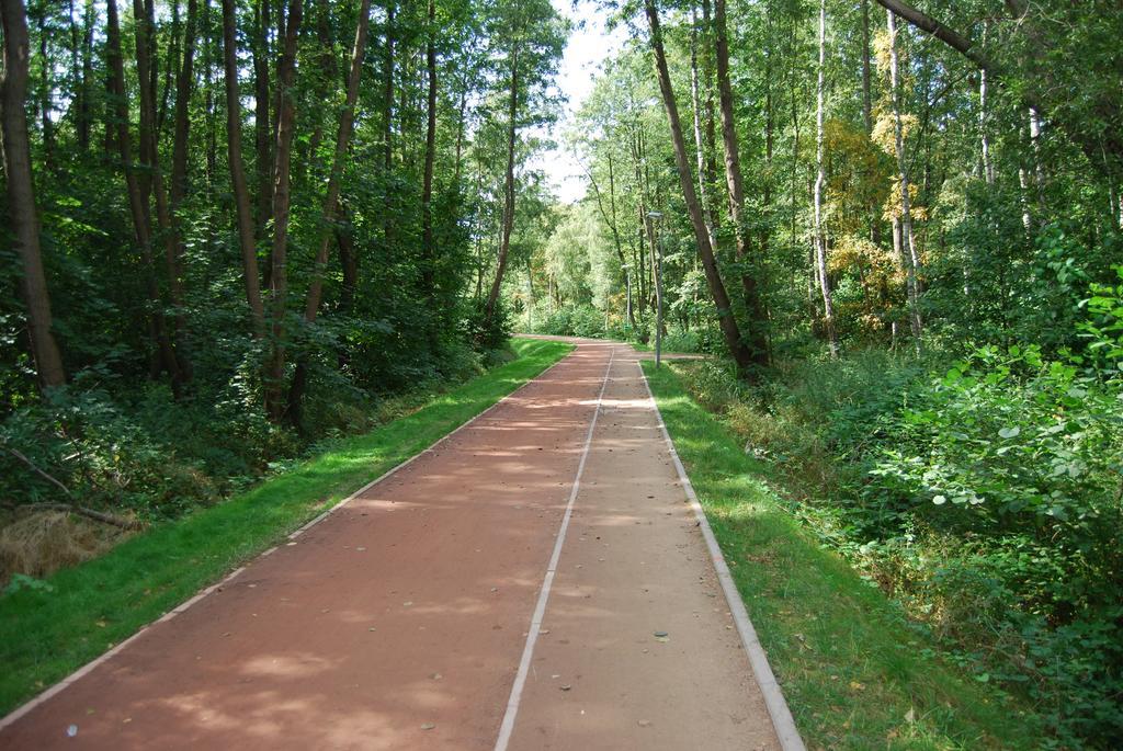 Piaskowy Polanki Park *